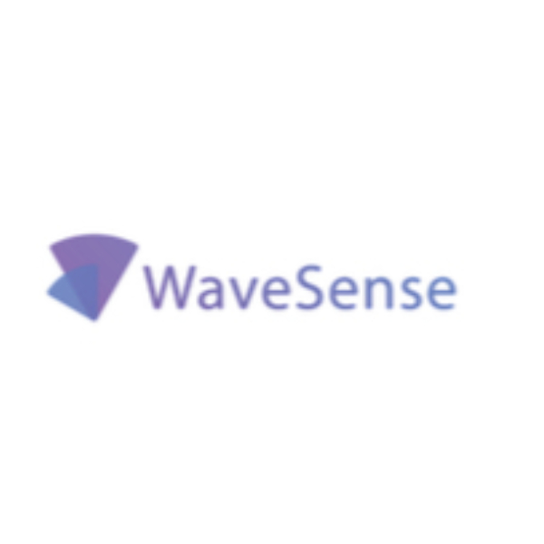 WaveSense